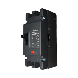 100A DC Switch
